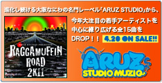 ARUZ STUDIO PRESENTS RAGGAMUFFIN ROAD 2K11